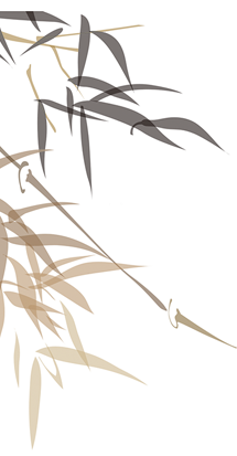 养生馆加盟